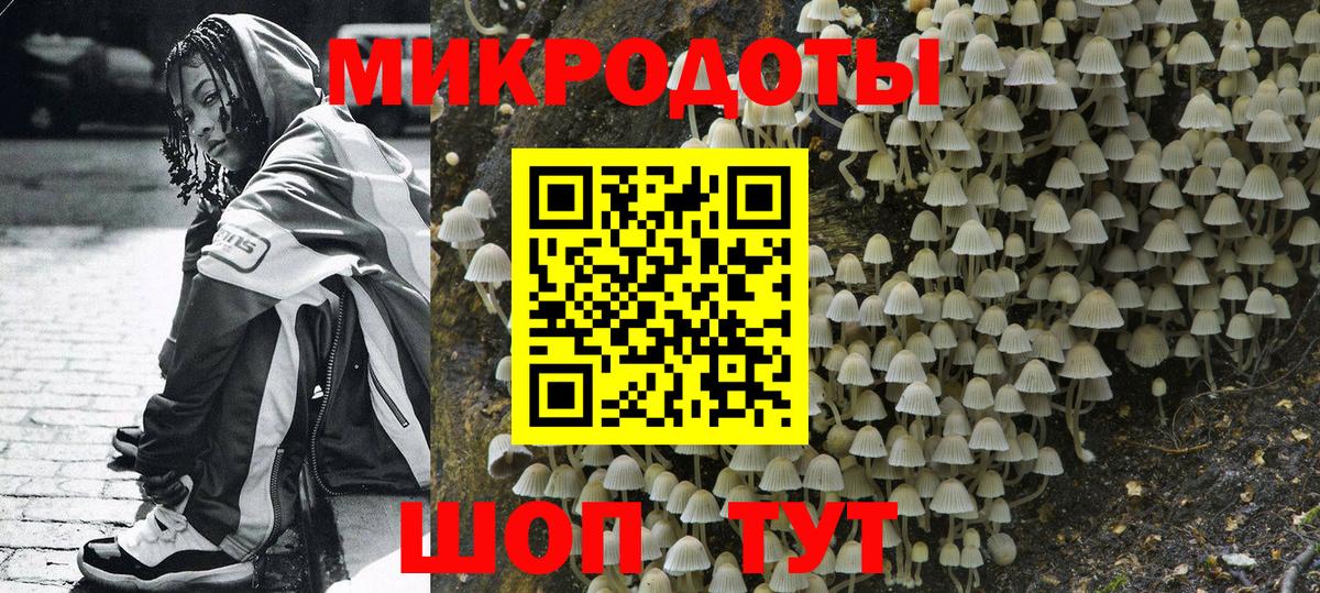 Галлюциногенные грибы GOLDEN TEACHER  Вход с VPN  продажа наркотиков  Мценск  Псилоцибиновые грибы Psilocybe 